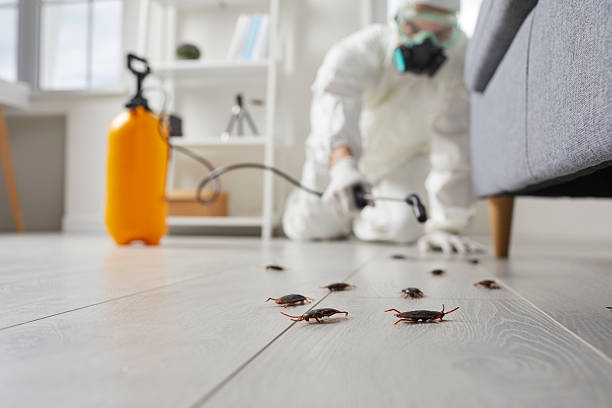 Commercial Kitchen Cockroach Control in Guthrie